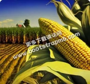 致力于提供极致游戏乐趣 - PG模拟器