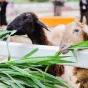 探索PG模拟器的精彩世界 - PG模拟器